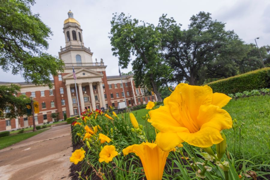 Baylor Office of Investments Up for The Allocator Prizes Team of the